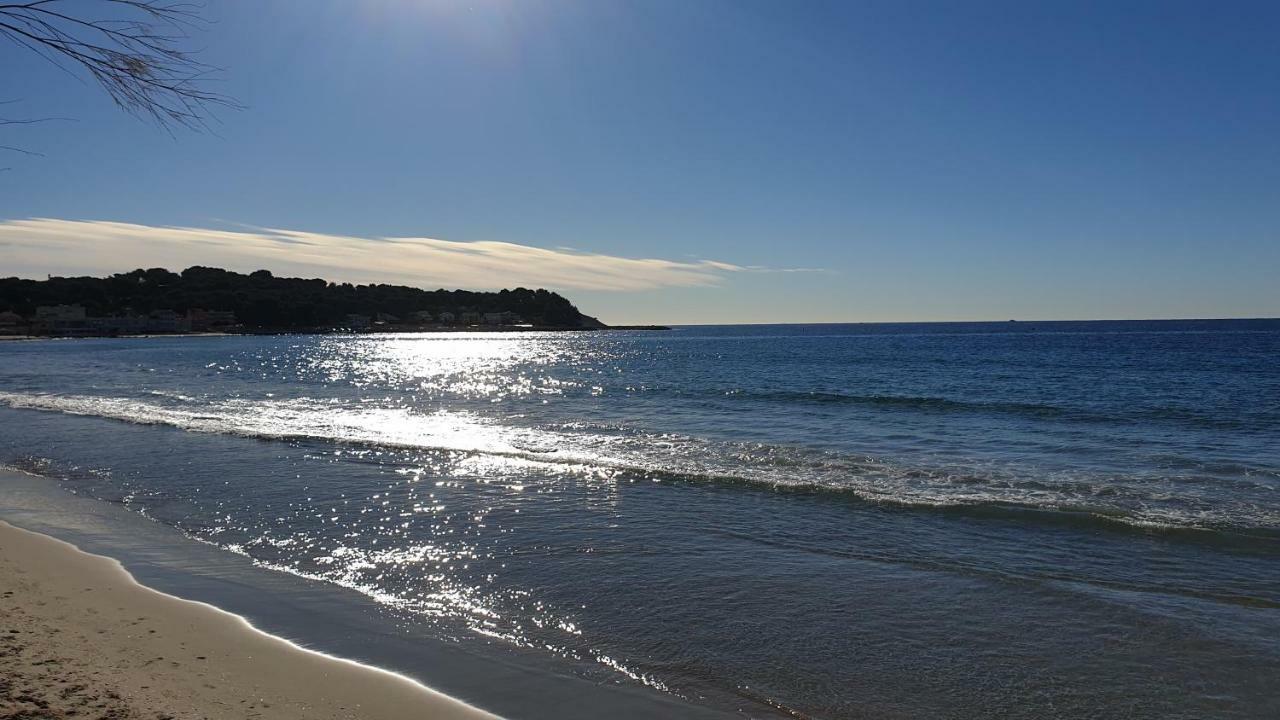 Studios Les Sablettes/La Seyne Sur Mer エクステリア 写真